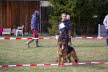 IMGP4586